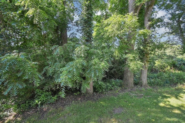 1235 Pineview Trl Unit D, Newark, OH 43055 - photo 36
