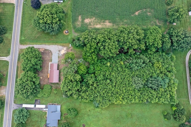5676 State Route 61 S, Shelby, OH 44875 - photo 54