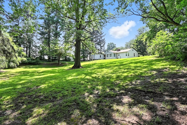 305 N Boston St, Galion, OH 44833 - view of grassy yard