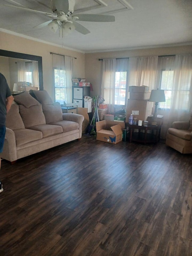 3200 Smeltzer Rd Unit 70, Marion, OH 43302 - living room with plenty of natural light, ceiling fan, crown molding, and wood finished floors