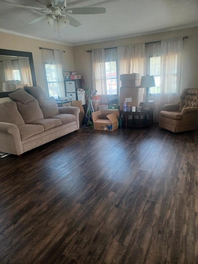 3200 Smeltzer Rd Unit 70, Marion, OH 43302 - living room featuring dark wood finished floors, ceiling fan, and ornamental molding