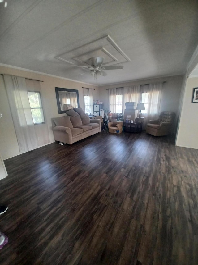 3200 Smeltzer Rd Unit 70, Marion, OH 43302 - living area with dark wood finished floors, ceiling fan, ornamental molding, and attic access