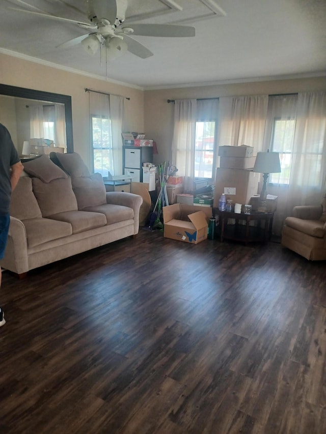 3200 Smeltzer Rd Unit 70, Marion, OH 43302 - living room featuring healthy amount of natural light, a ceiling fan, ornamental molding, and wood finished floors