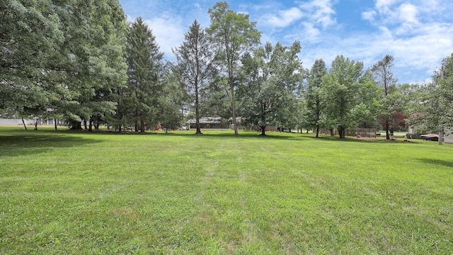 9200 Knoll Dr, Galena, OH 43021 - photo 43