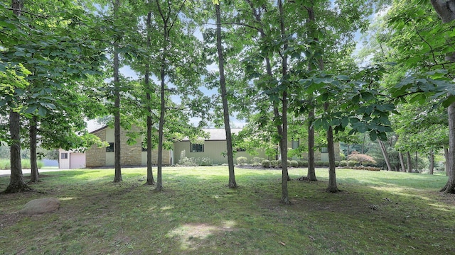 9200 Knoll Dr, Galena, OH 43021 - photo 45