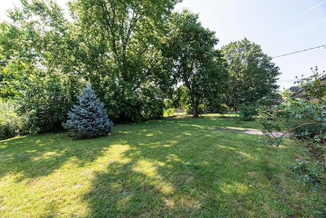 892 Lincoln Dr, Circleville, OH 43113 - photo 33