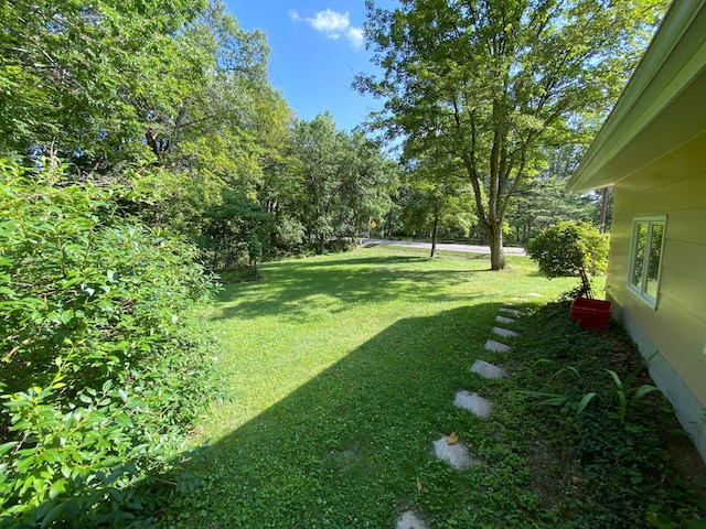 76 Mulligan Rd, Athens, OH 45701 - photo 33