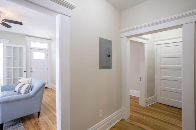 330 Taylor Ave, Columbus, OH 43203 - photo 11