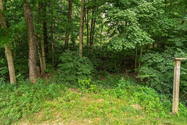 88 Ravine Rd, Powell, OH 43065 - photo 39