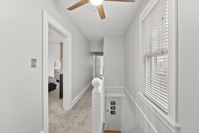 1141 Highland St, Columbus, OH 43201 - photo 21