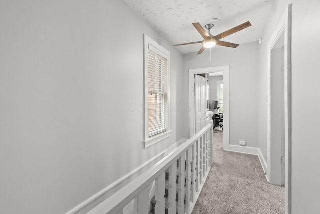 1141 Highland St, Columbus, OH 43201 - photo 24