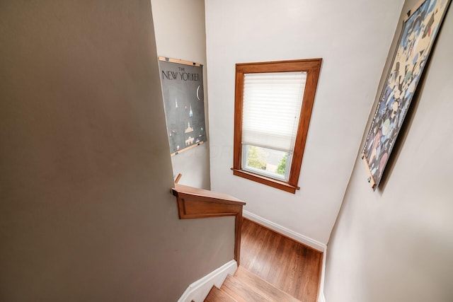 553 Piedmont Rd, Columbus, OH 43214 - photo 21