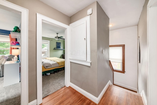 553 Piedmont Rd, Columbus, OH 43214 - photo 22