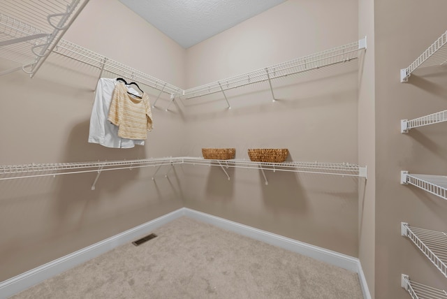 8128 Conine Dr, Dublin, OH 43016 - photo 16