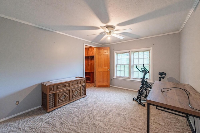 3586 Mason Rd NW, Canal Winchester, OH 43110 - photo 30