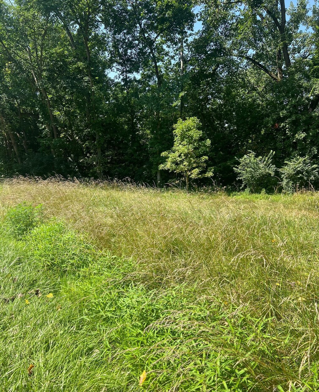915 Newark Rd, Utica, OH 43080 - photo 2