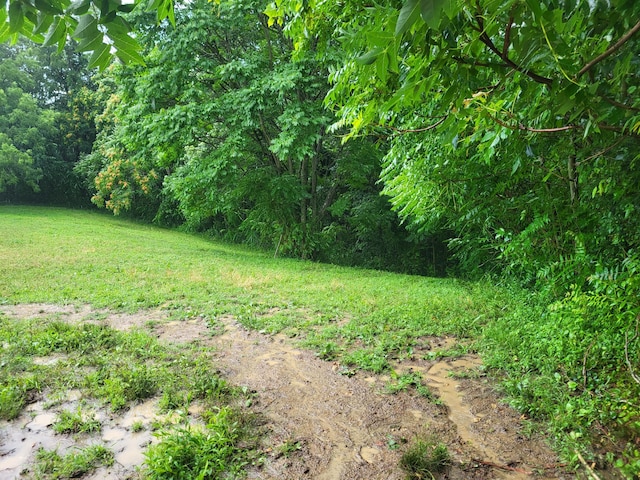 781 Downing Rd, Stockport, OH 43787 - photo 10
