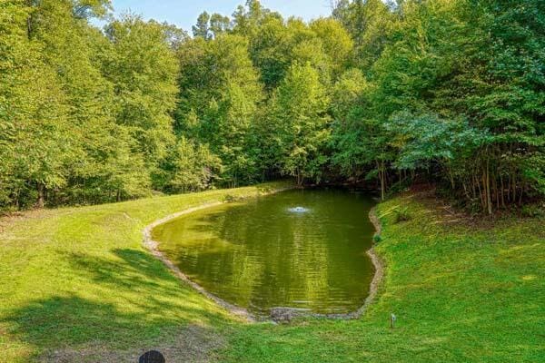 16188 State Route 374, Laurelville, OH 43135 - photo 6