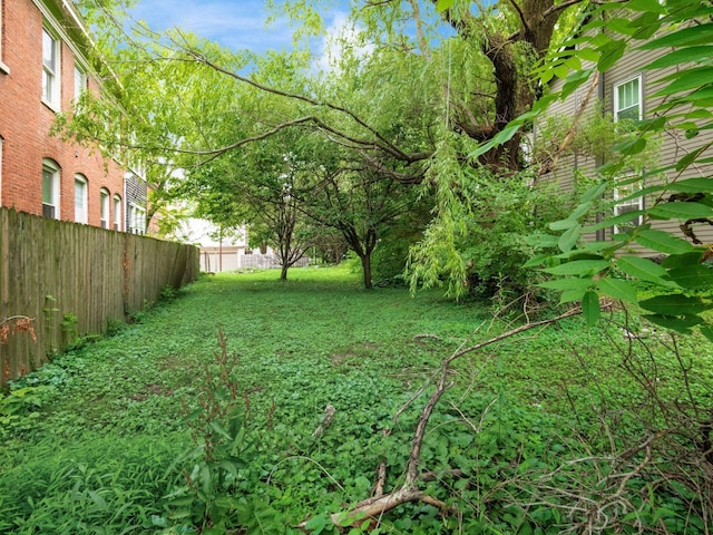 1714 Oak St, Columbus, OH 43205 - photo 4