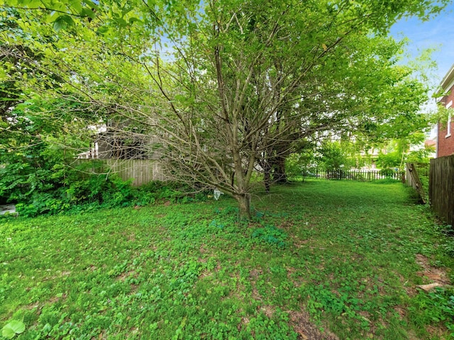 1714 Oak St, Columbus, OH 43205 - photo 8