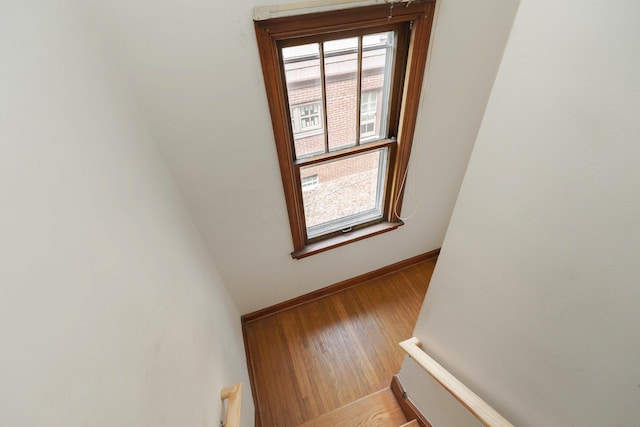 117 Chatham Rd, Columbus, OH 43214 - photo 18
