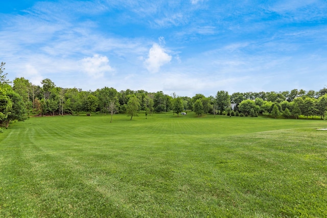 4195 Lock Rd, Centerburg, OH 43011 - photo 31