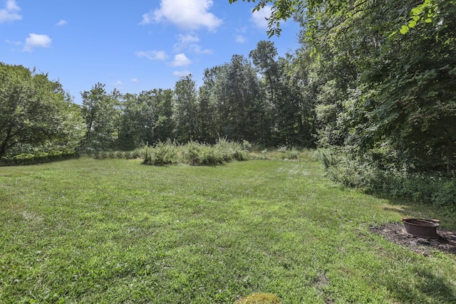 10472 Township Road 80, Thornville, OH 43076 - photo 28