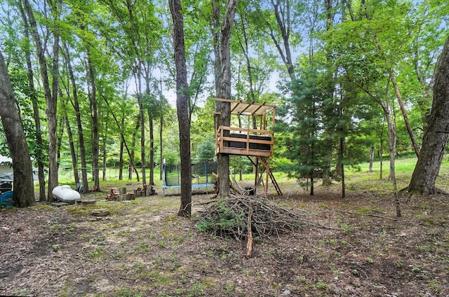 295 Tillamook Ln, Bremen, OH 43107 - photo 44