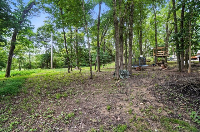 295 Tillamook Ln, Bremen, OH 43107 - photo 45