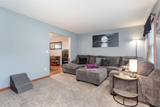 325 Chatham Rd, Circleville, OH 43113 - photo 5