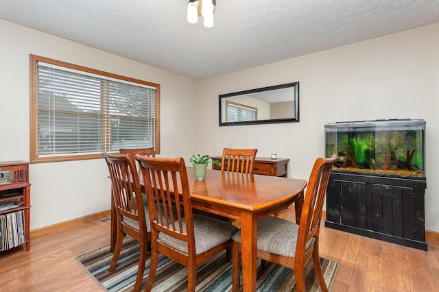 325 Chatham Rd, Circleville, OH 43113 - photo 7
