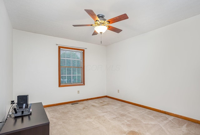 325 Chatham Rd, Circleville, OH 43113 - photo 24