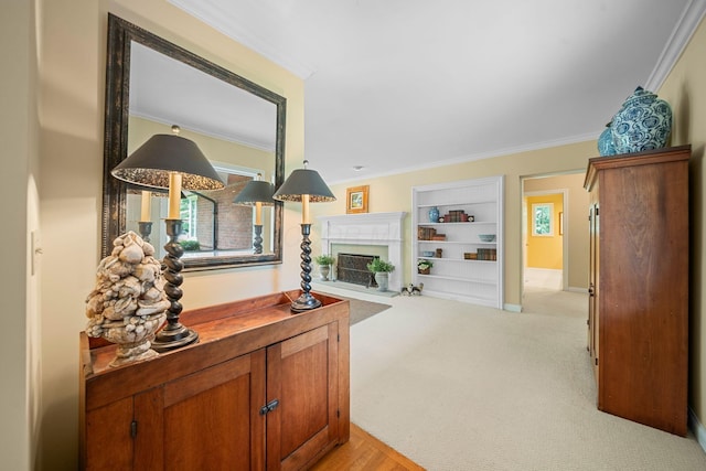 5877 Olentangy Blvd, Columbus, OH 43085 - photo 34