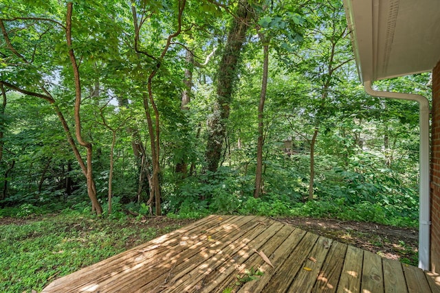 5877 Olentangy Blvd, Columbus, OH 43085 - photo 53