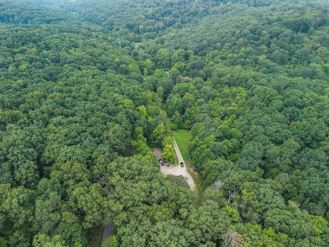 1799 Woods Hollow Rd, Chillicothe, OH 45601 - photo 47