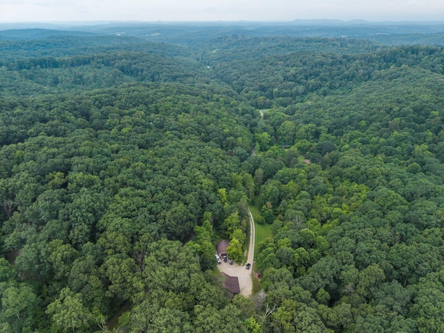 1799 Woods Hollow Rd, Chillicothe, OH 45601 - photo 48