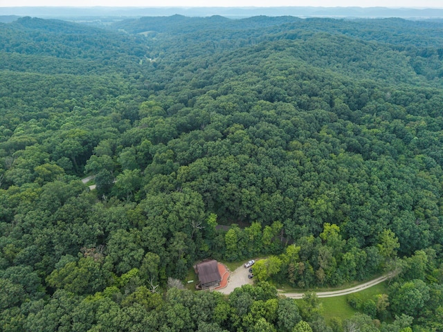 1799 Woods Hollow Rd, Chillicothe, OH 45601 - photo 49