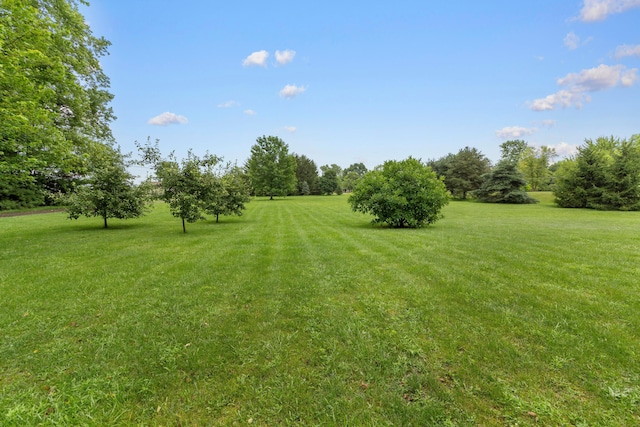 7673 Opossum Run Rd, London, OH 43140 - photo 46