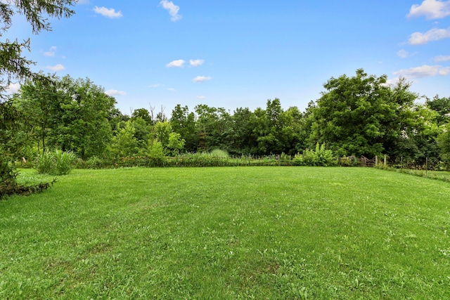 7673 Opossum Run Rd, London, OH 43140 - photo 51