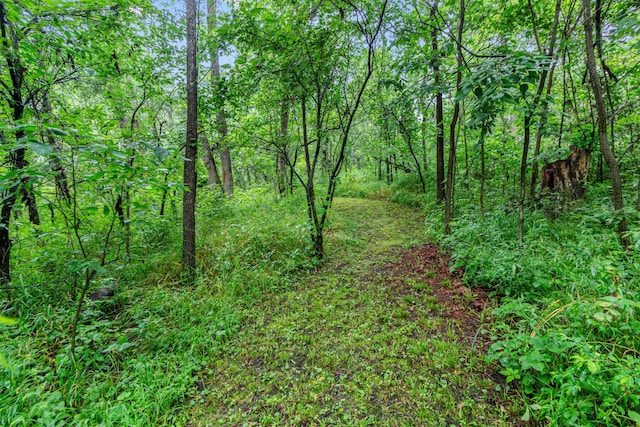 7673 Opossum Run Rd, London, OH 43140 - photo 60