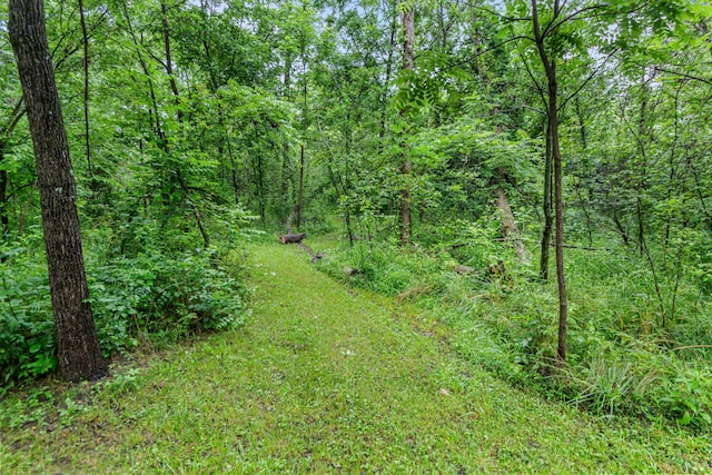 7673 Opossum Run Rd, London, OH 43140 - photo 61