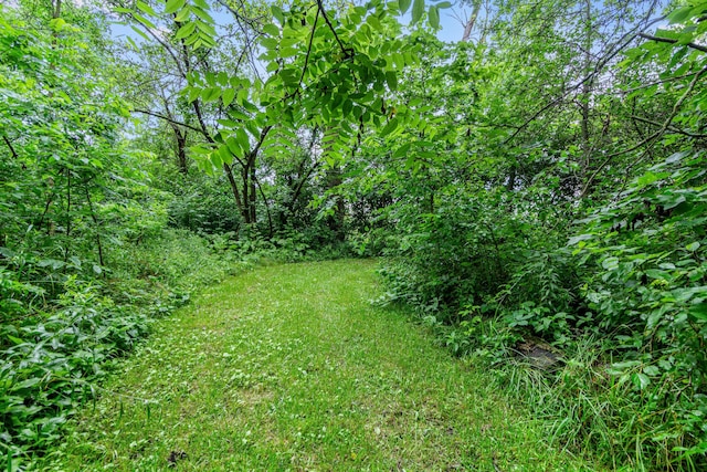 7673 Opossum Run Rd, London, OH 43140 - photo 65