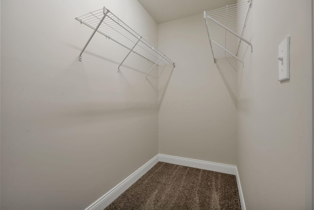 12353 Ebright Ln, Pickerington, OH 43147 - photo 75