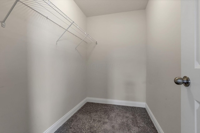 12353 Ebright Ln, Pickerington, OH 43147 - photo 53