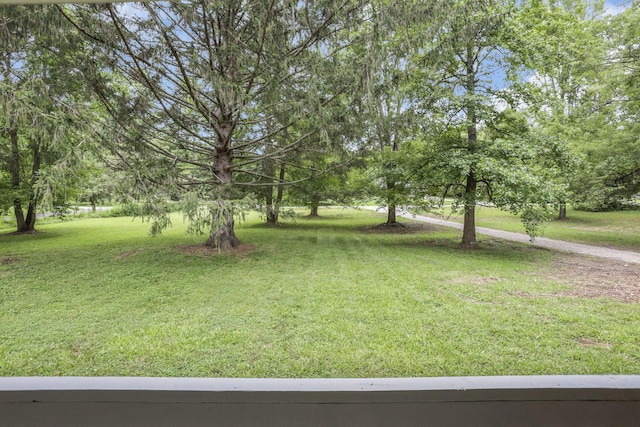 14626 State Route 664 S, Logan, OH 43138 - photo 61