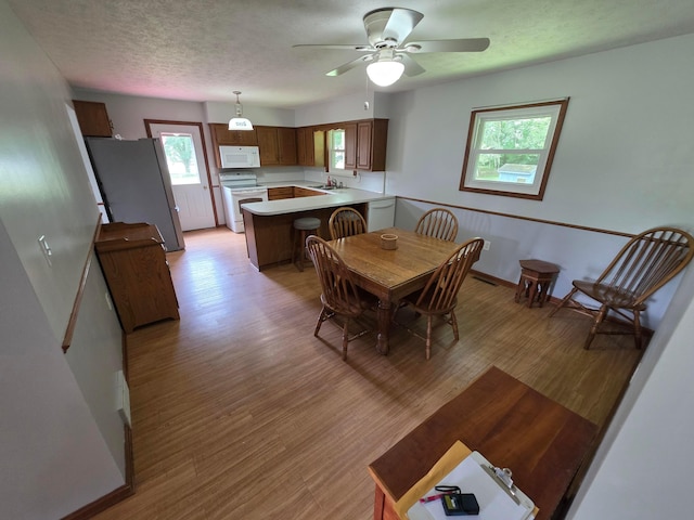 4043 Township Road 246, Edison, OH 43320 - photo 6
