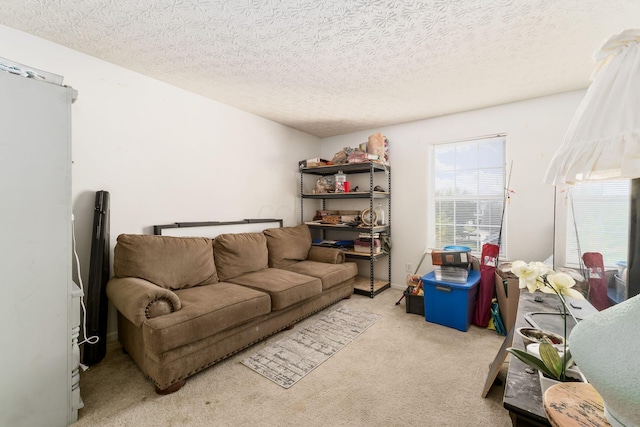 6684 Lagrange Dr Unit 48C, Canal Winchester, OH 43110 - photo 14
