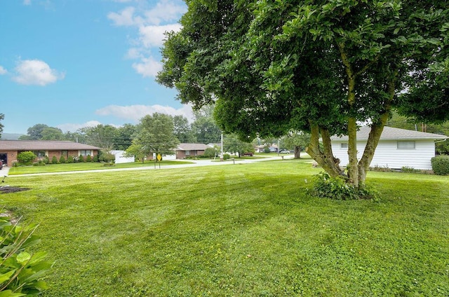 100 Oakway Dr, Mount Vernon, OH 43050 - photo 4