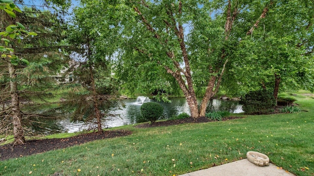 319 Postage Cir, Pickerington, OH 43147 - photo 39