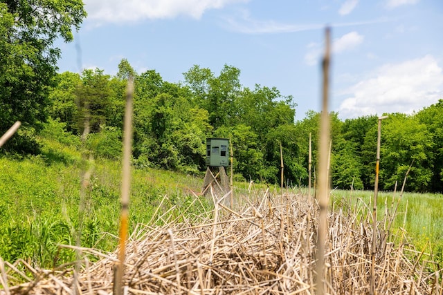 0 State Route 124, Portland, OH 45770 - photo 15